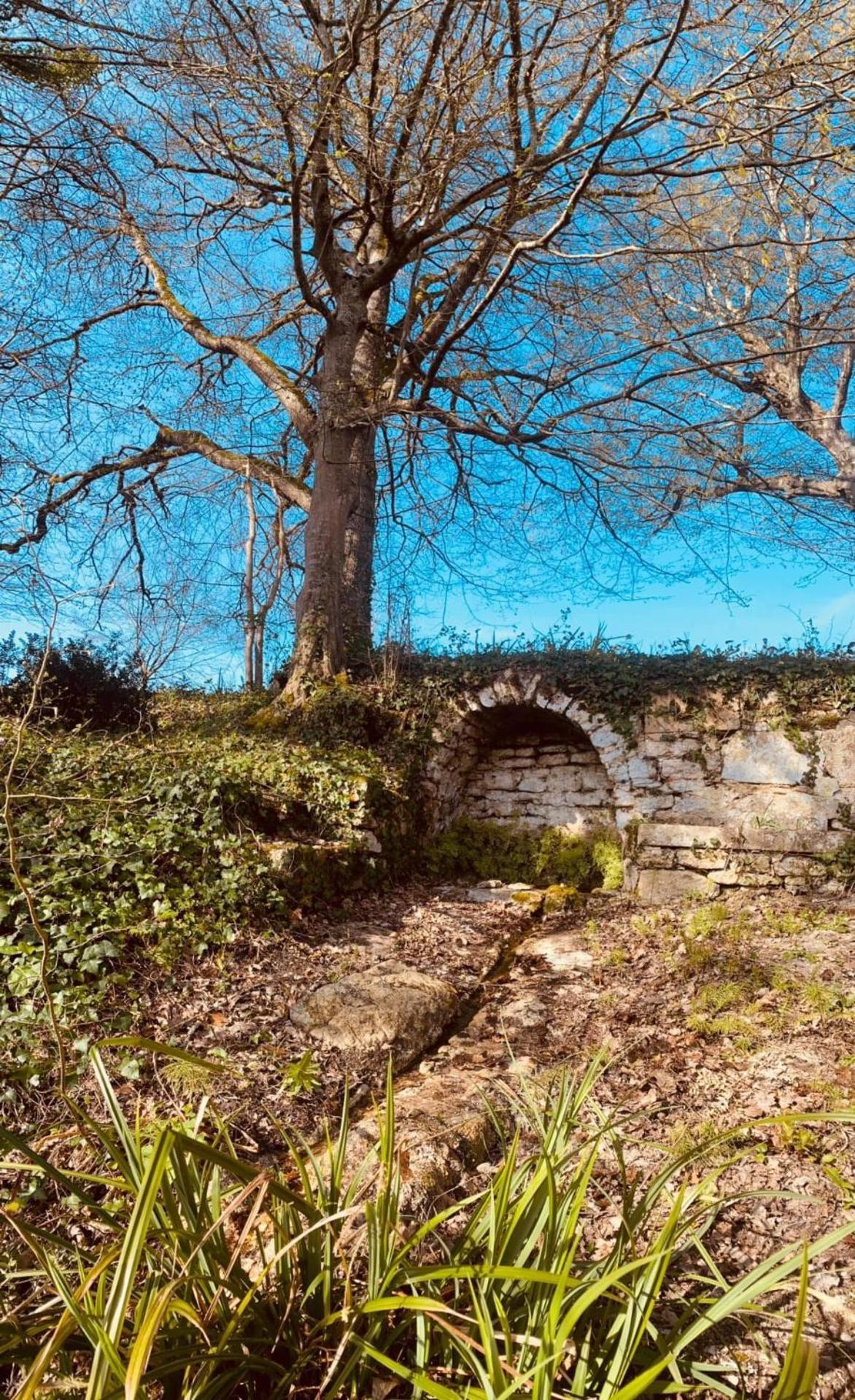 Beaulieu Saint Come Saint-Come (Gironde) Exterior foto